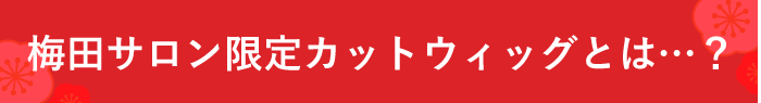 梅田サロン限定カットウィッグとは…？