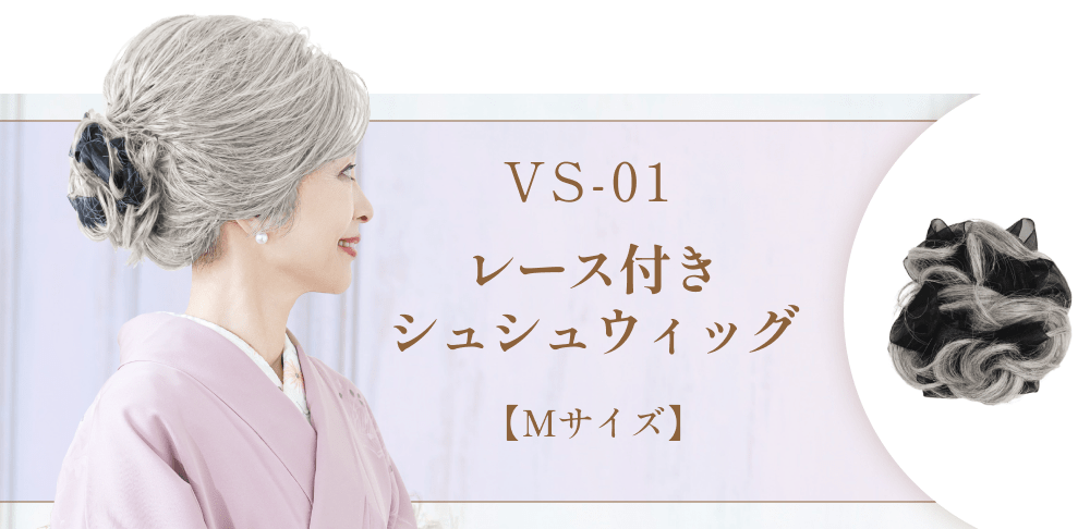 VS-01の商品ページへ