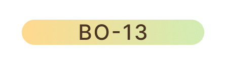 BO-13