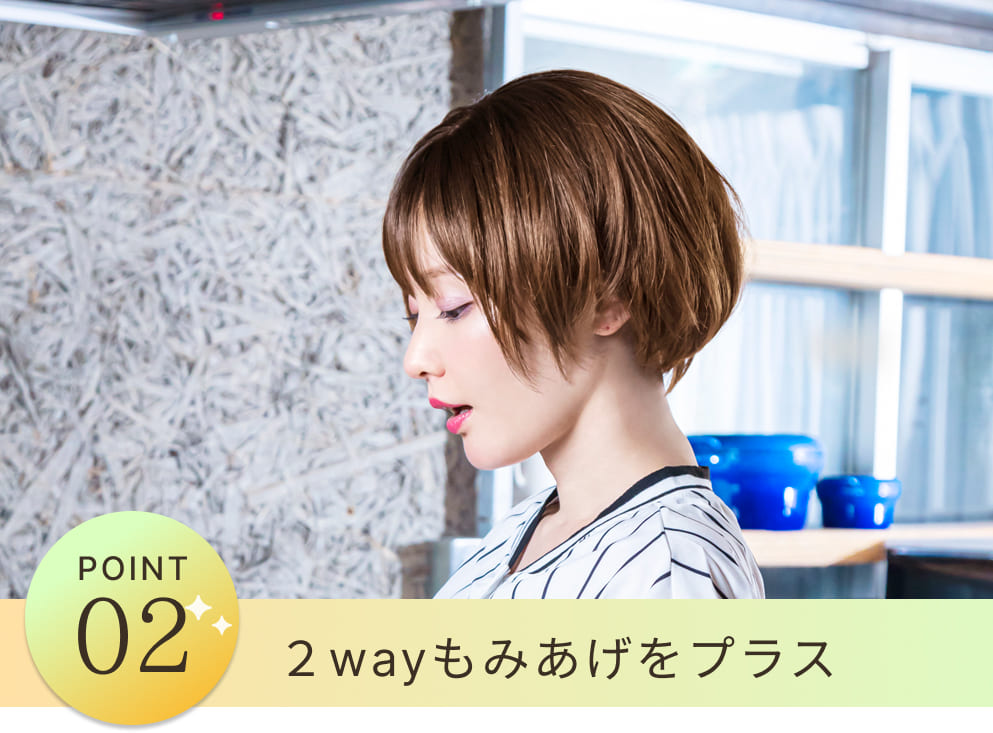 POINT2 2wayもみあげをプラス