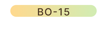 BO-15