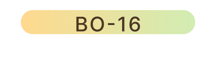 BO-16