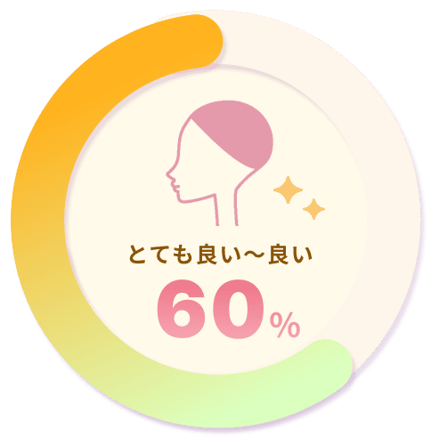 とても良い～良い 60%