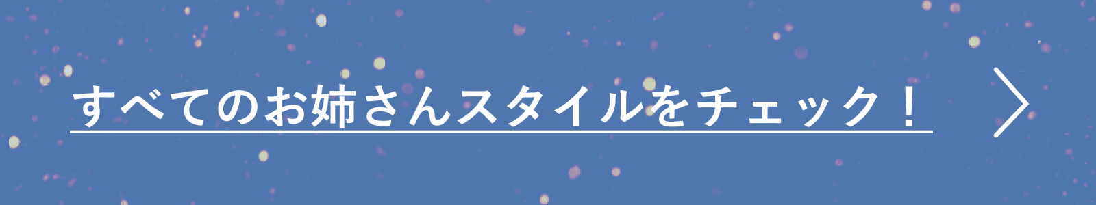 すべてのお姉さんスタイルをチェック！